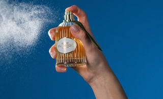 ФЕНОМЕН ОЛЬФАКТОРНОГО ЯКОРЯ