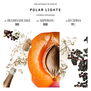 Аромат парфумів Polar Lights