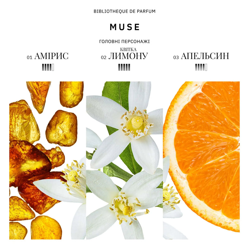 Аромат парфумів Muse